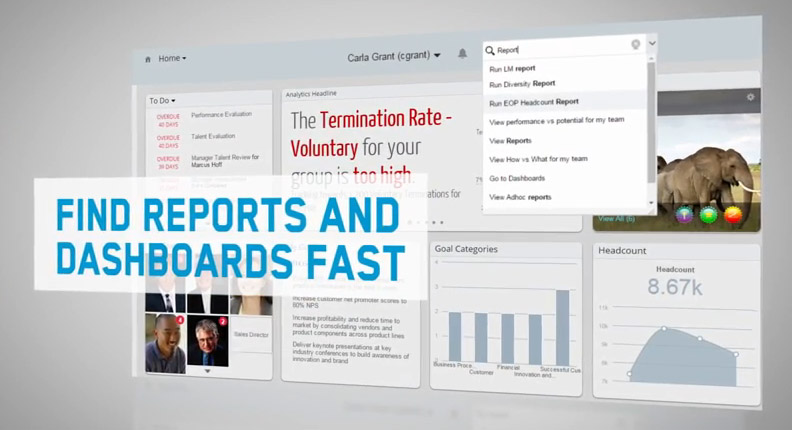 SAP SuccessFactors Release Highlight 012015 3